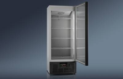 Холодильный шкаф Ариада Рапсодия R700MS (стеклянная дверь)